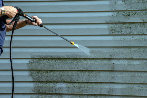 Best Exterior Home Cleaning  in New Castle, CO