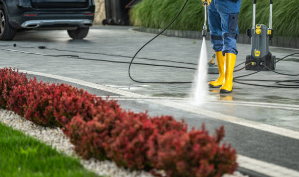 Best Local Pressure Washing Services  in New Castle, CO