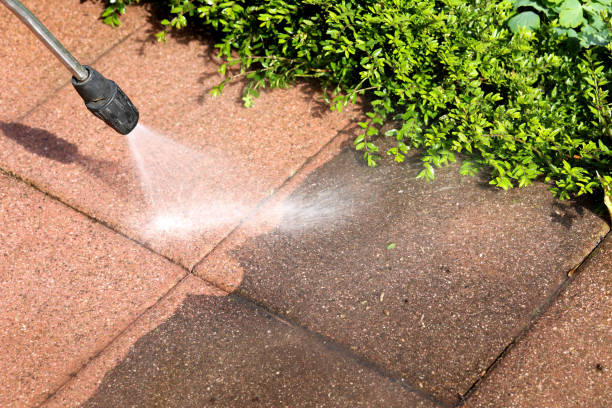Best Pressure Washing Driveway  in New Castle, CO
